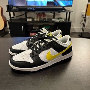Brand new Nike Dunk Low